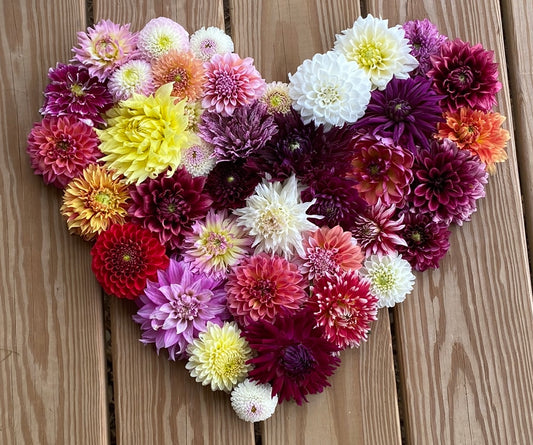 Sandia Melody
